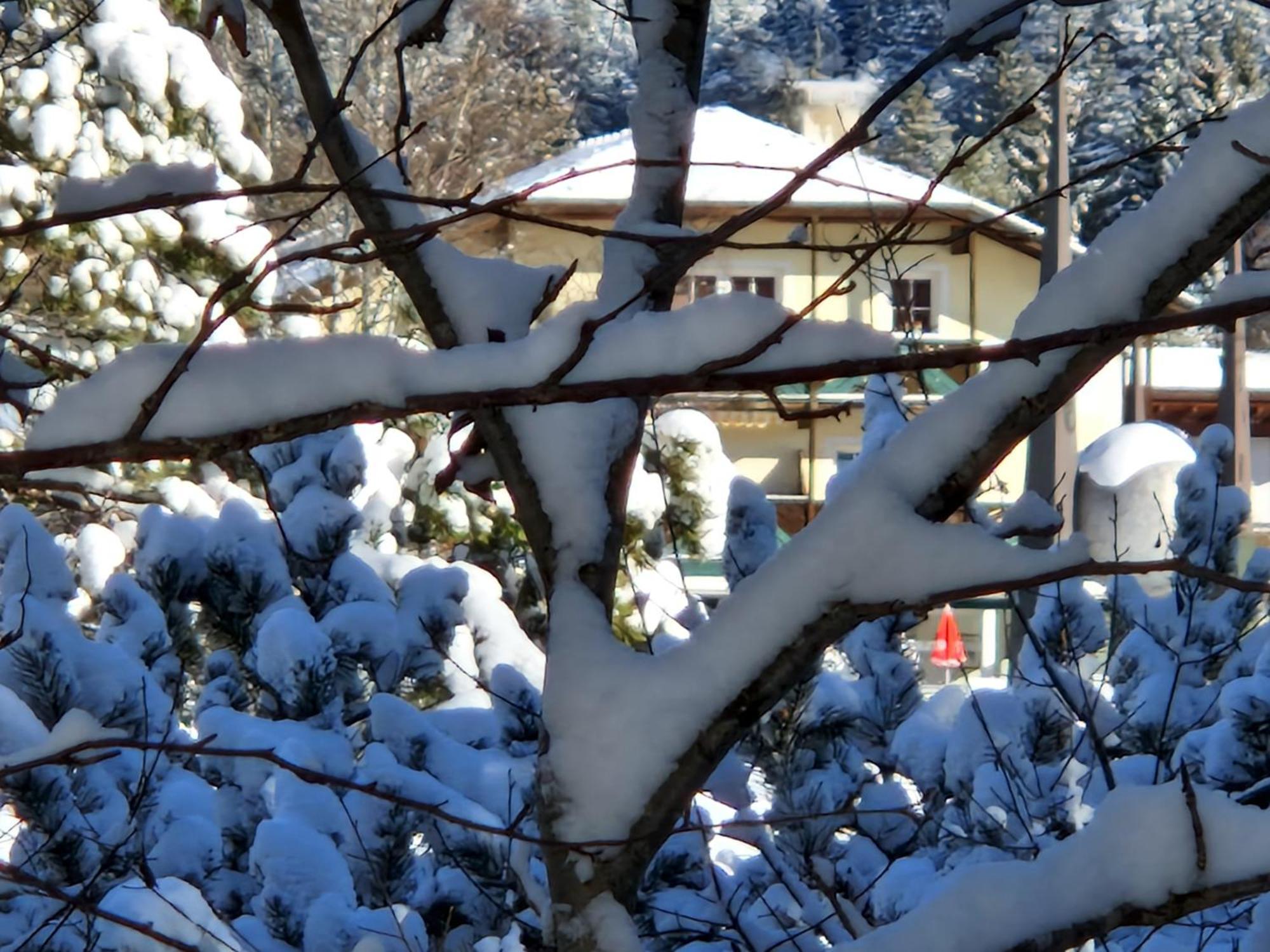 Appartement Bergsee Sun - Am Wildsee - Atemberaubende Aussicht Seefeld in Tirol Exterior photo